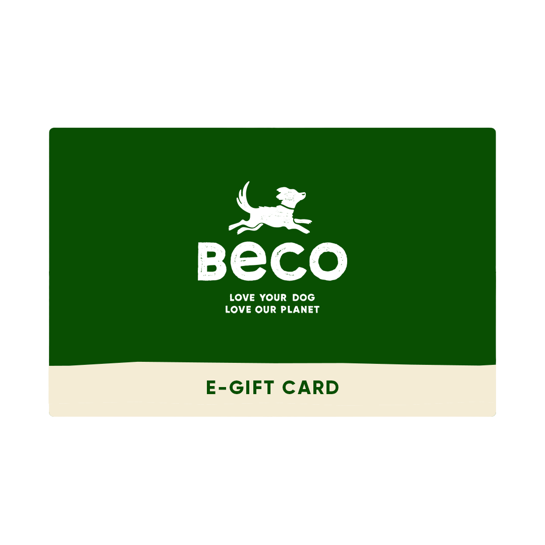Gift Card - Image 2