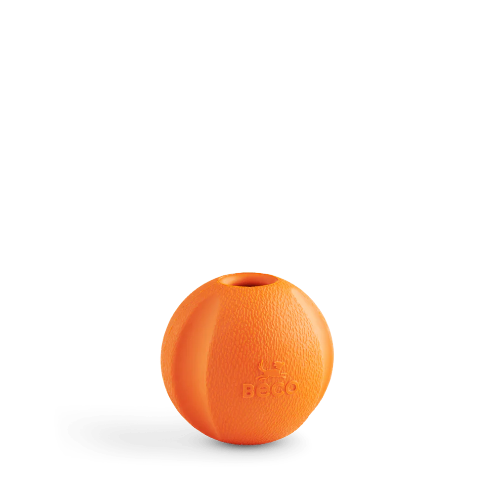 Fetch Ball
