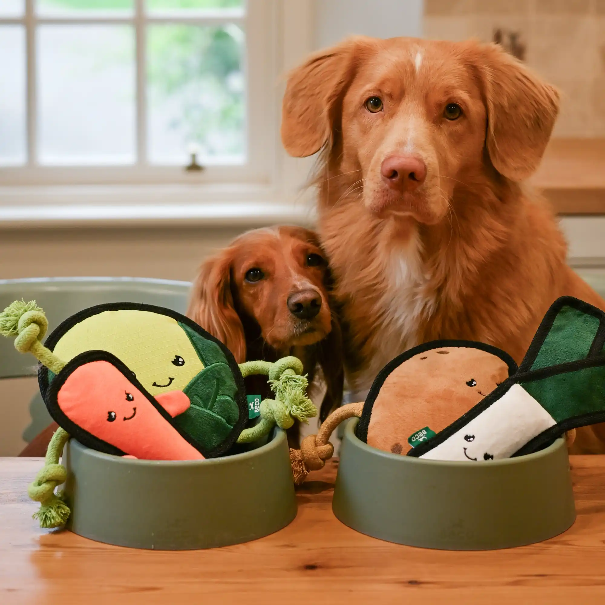Plush Potato Dog Toy - Image 6