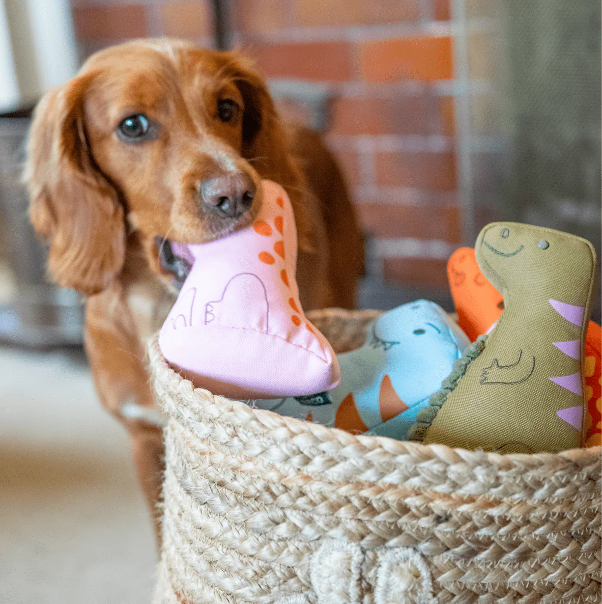 T-Rex Dinosaur Dog Toy - Image 5